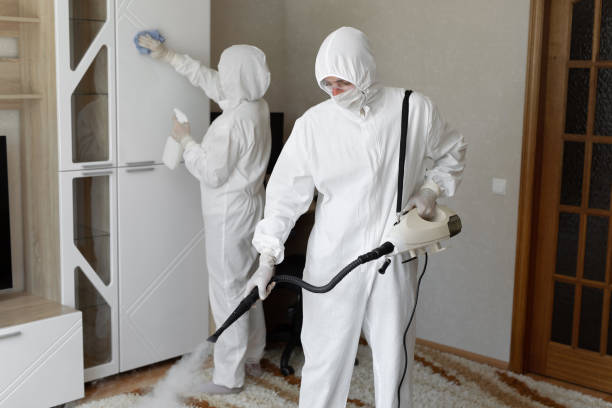24/7 Emergency Odor Removal experts in Vallejo, CA